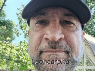 Leoncarpita