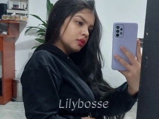 Lilybosse