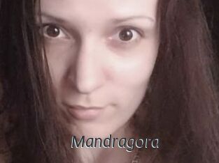 Mandragora