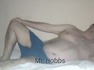 Mr_Hobbs