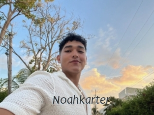 Noahkarter