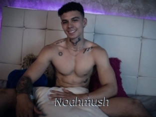 Noahmush