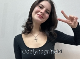 Odelynagrindel