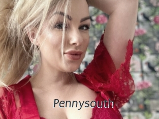 Pennysouth