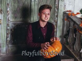 Playfulboydavid