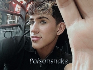 Poisonsnake