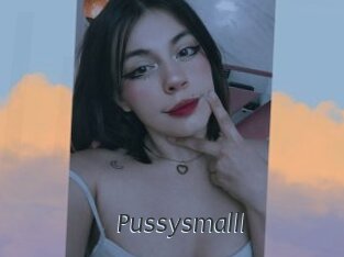 Pussysmalll