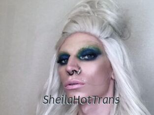 SheilaHotTrans