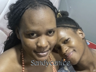 Sandycanice