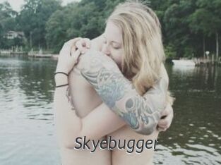 Skyebugger