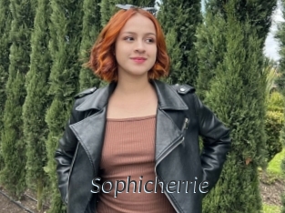 Sophicherrie