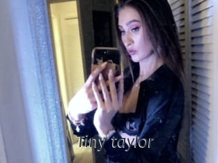 Tiny_taylor