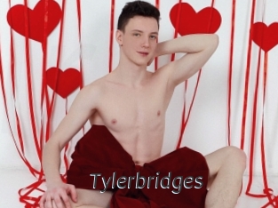 Tylerbridges