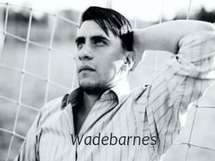 Wadebarnes