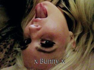 _x_Bunny_x_