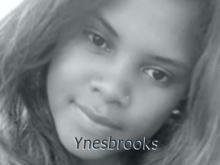 Ynesbrooks